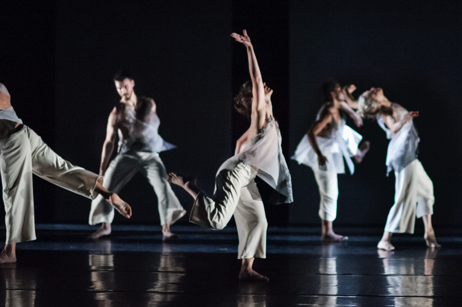 Kate Weare Company : Performance Video Gallery